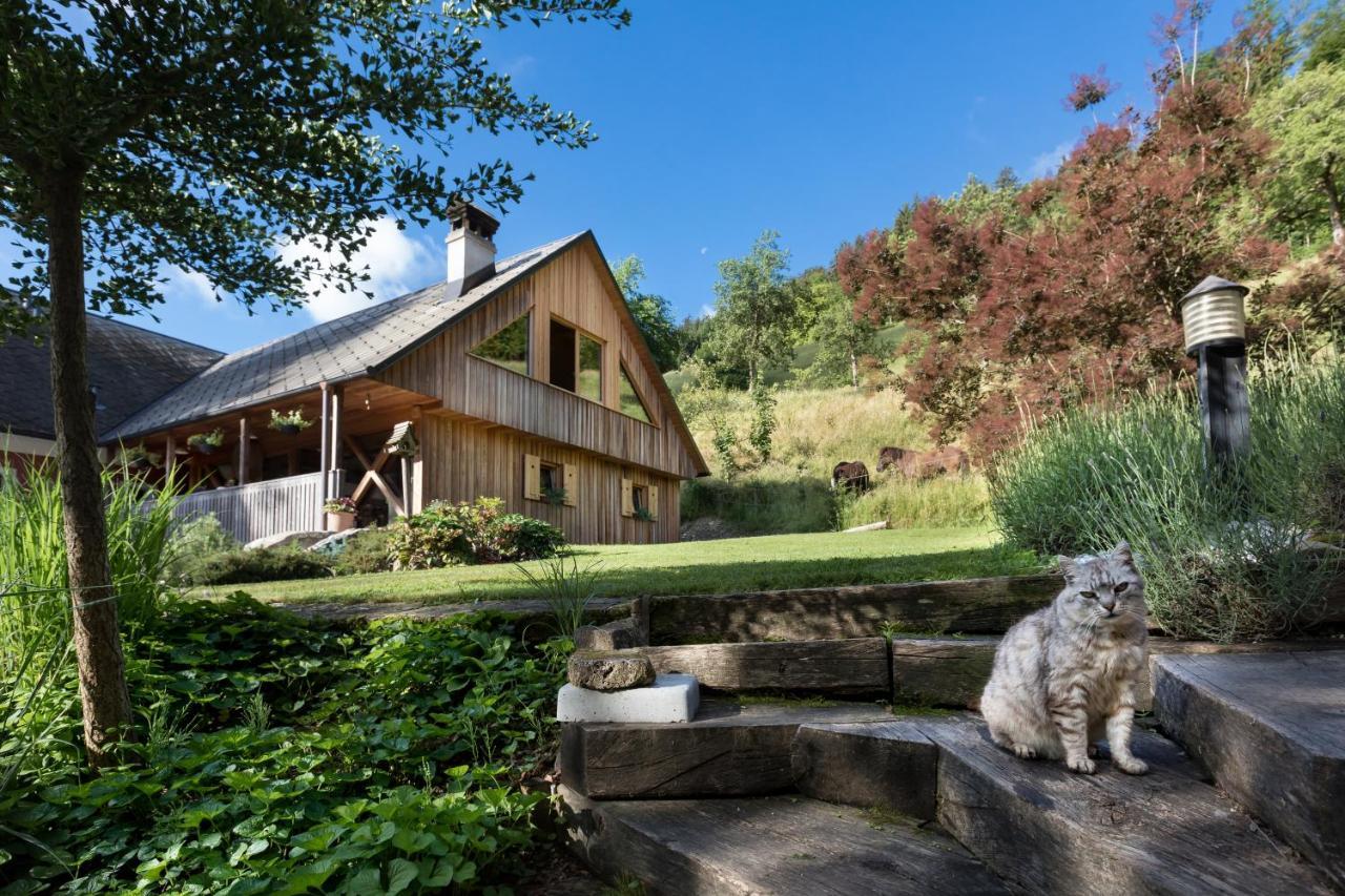 Homestead farm Tešnak Gorenja Vas  Exterior foto