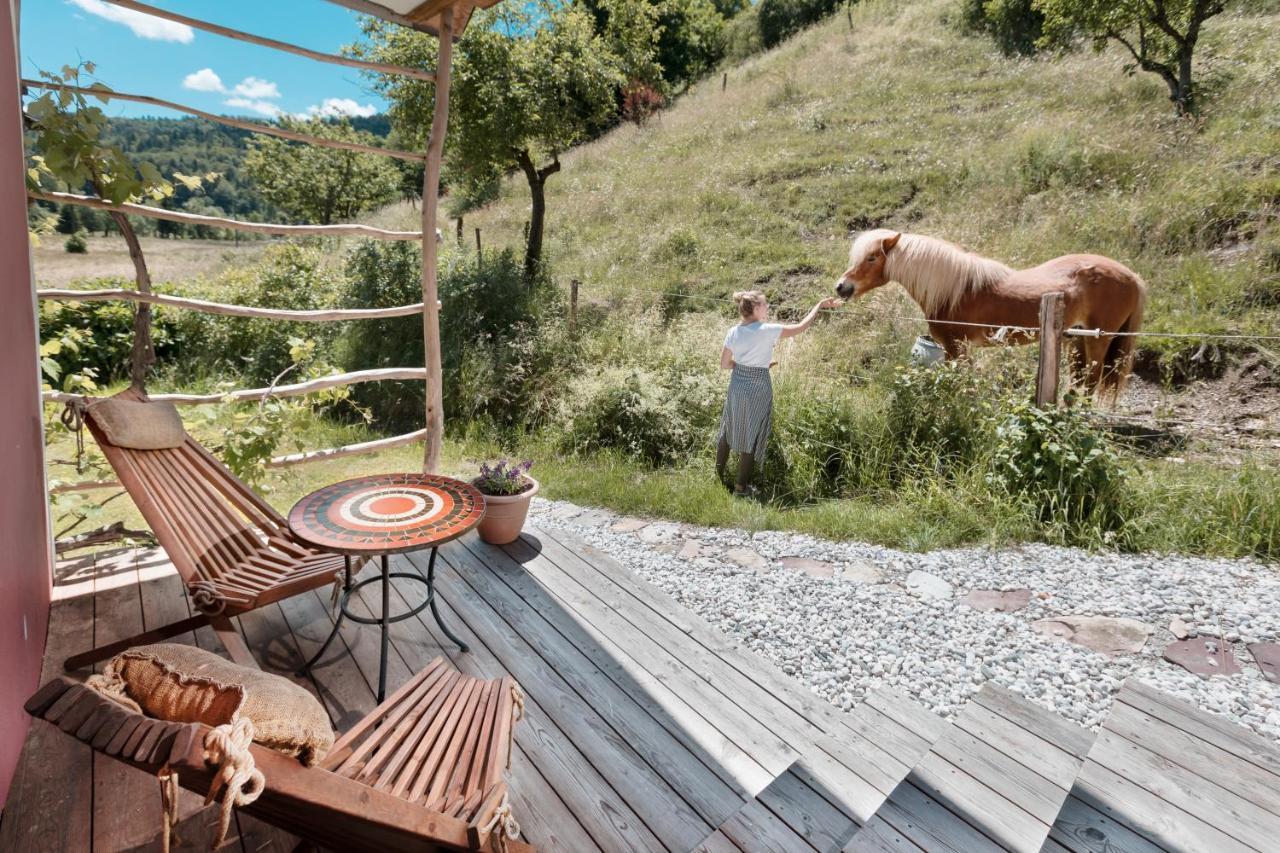 Homestead farm Tešnak Gorenja Vas  Exterior foto
