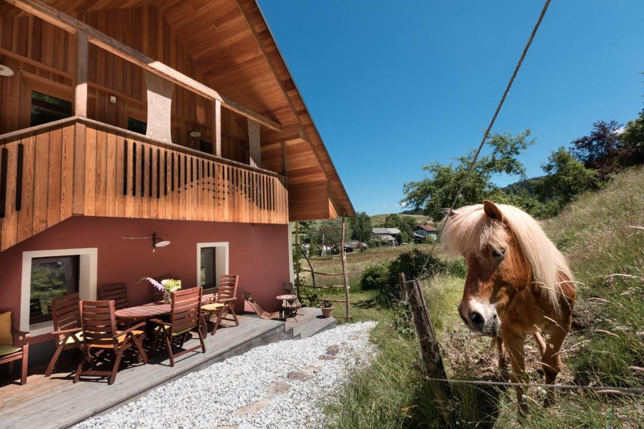 Homestead farm Tešnak Gorenja Vas  Exterior foto