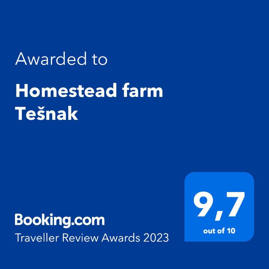 Homestead farm Tešnak Gorenja Vas  Exterior foto